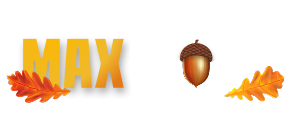 scroll logo